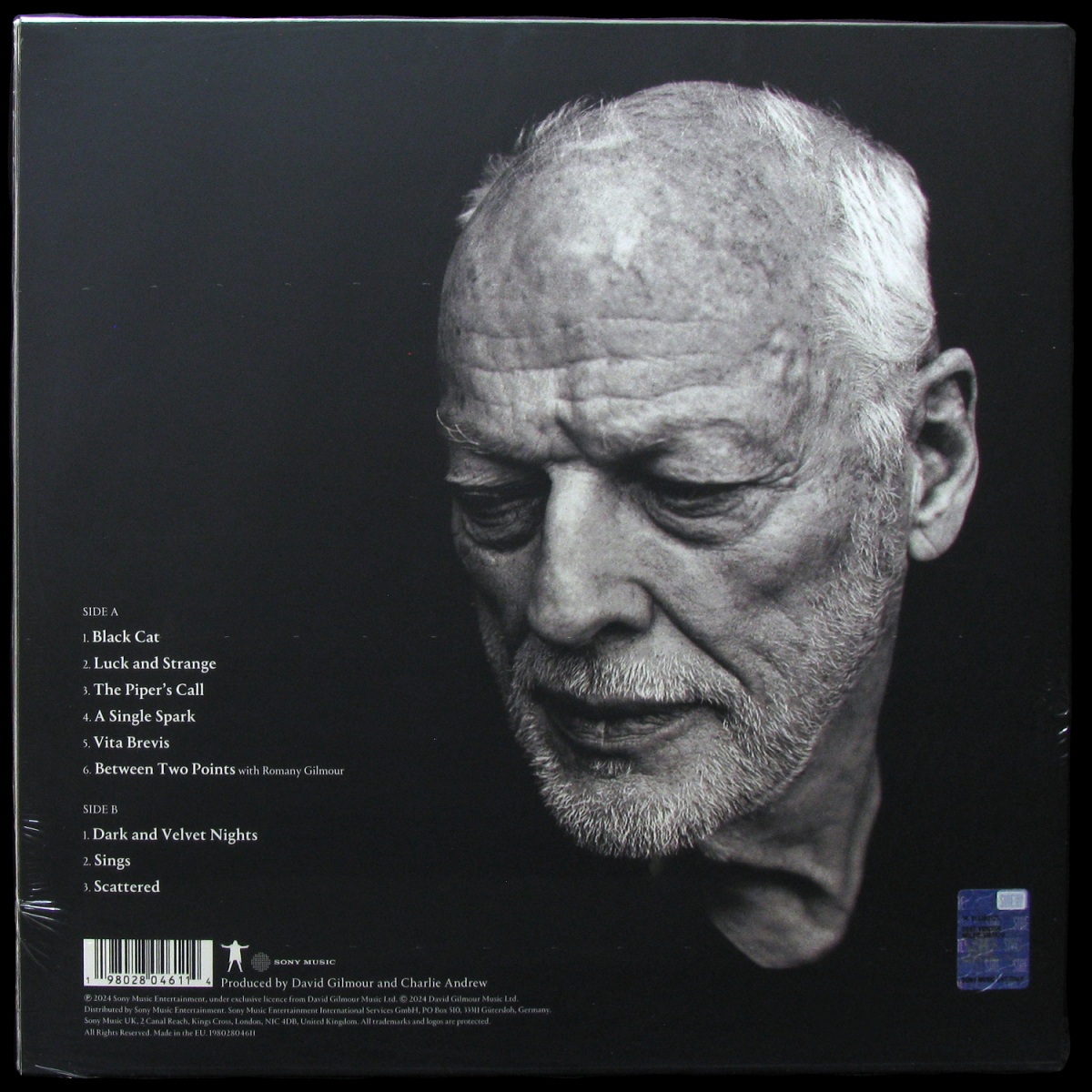 LP David Gilmour — Luck And Strange фото 2