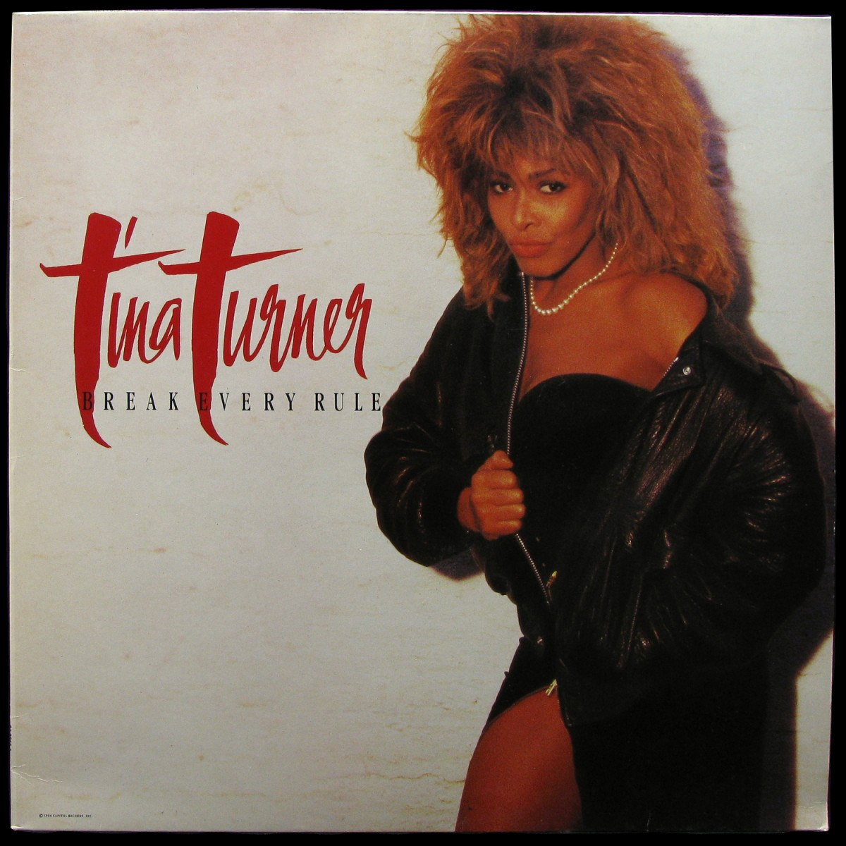 LP Tina Turner — Break Every Rule фото