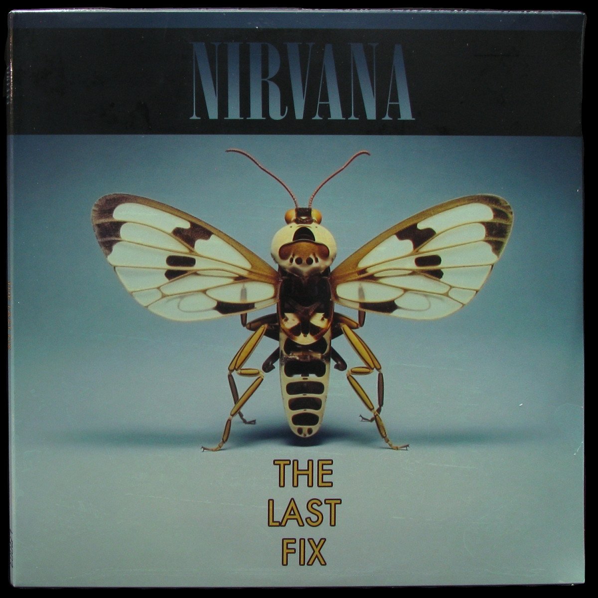 LP Nirvana — The Last Fix (2LP) фото