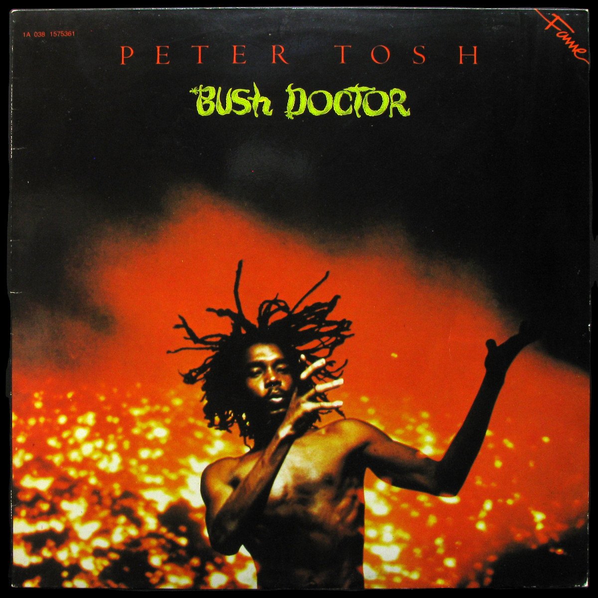 LP Peter Tosh — Bush Doctor фото