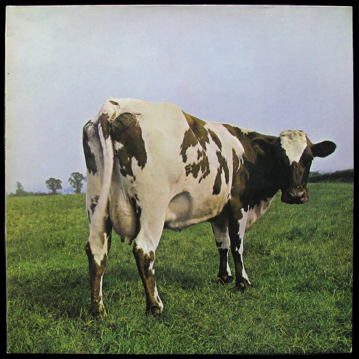 LP Pink Floyd — Atom Heart Mother фото