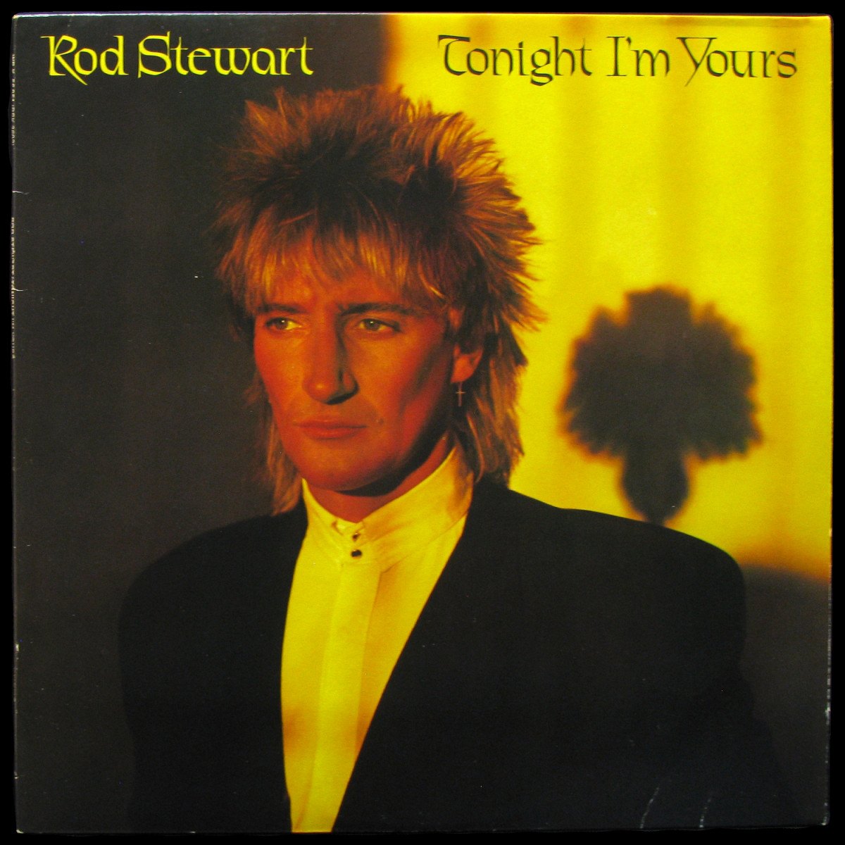 LP Rod Stewart — Tonight I'm Yours фото