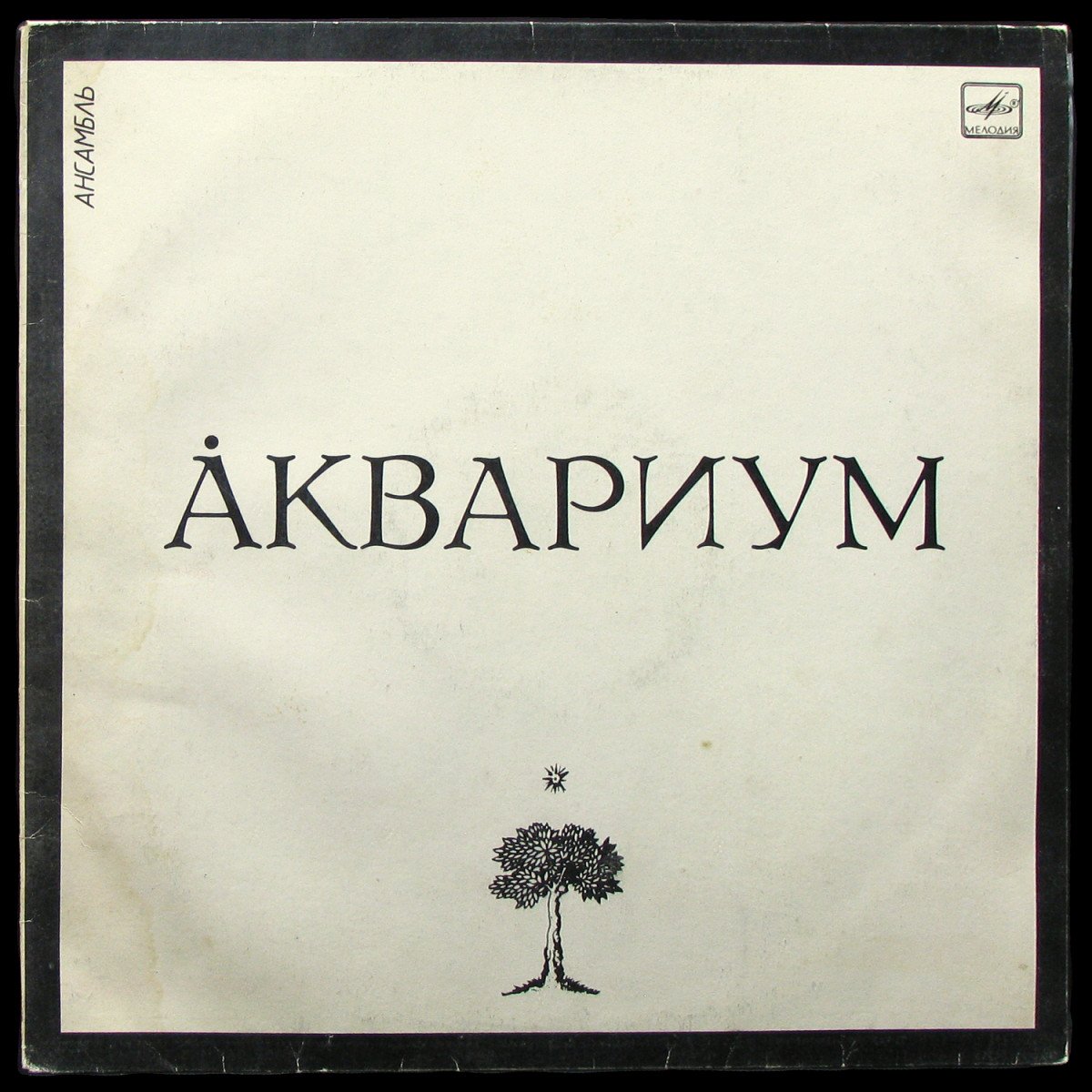 LP Аквариум — Аквариум фото