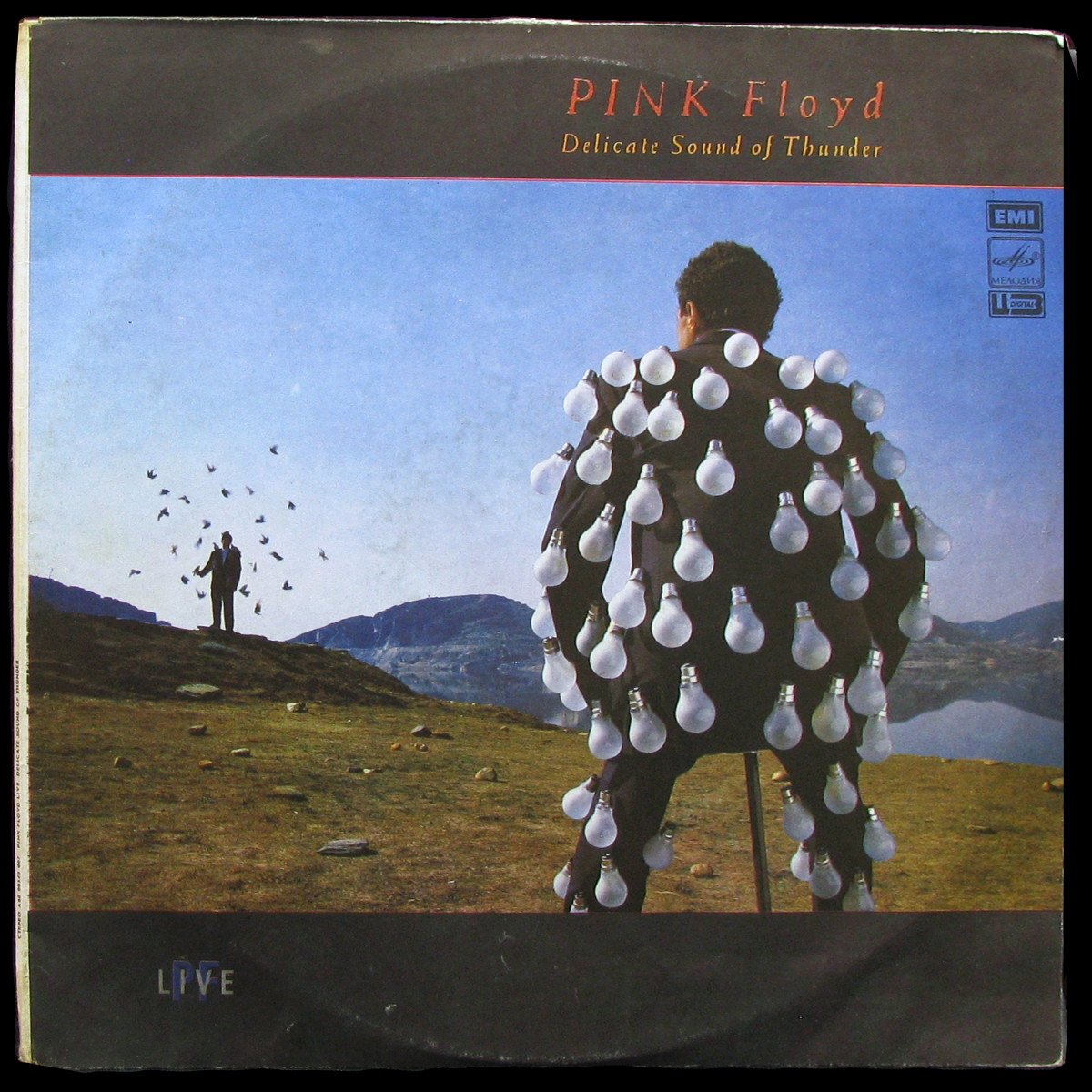 LP Pink Floyd — Delicate Sound Of Thunder (2LP) фото