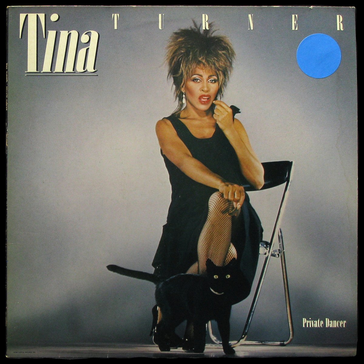 LP Tina Turner — Private Dancer фото