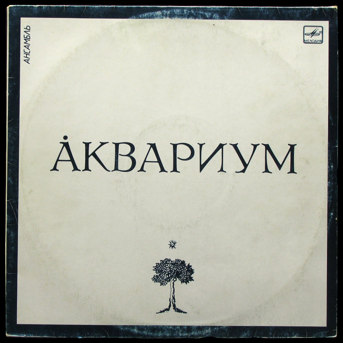 LP Аквариум — Аквариум фото