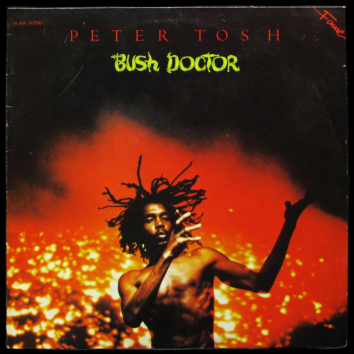 LP Peter Tosh — Bush Doctor фото