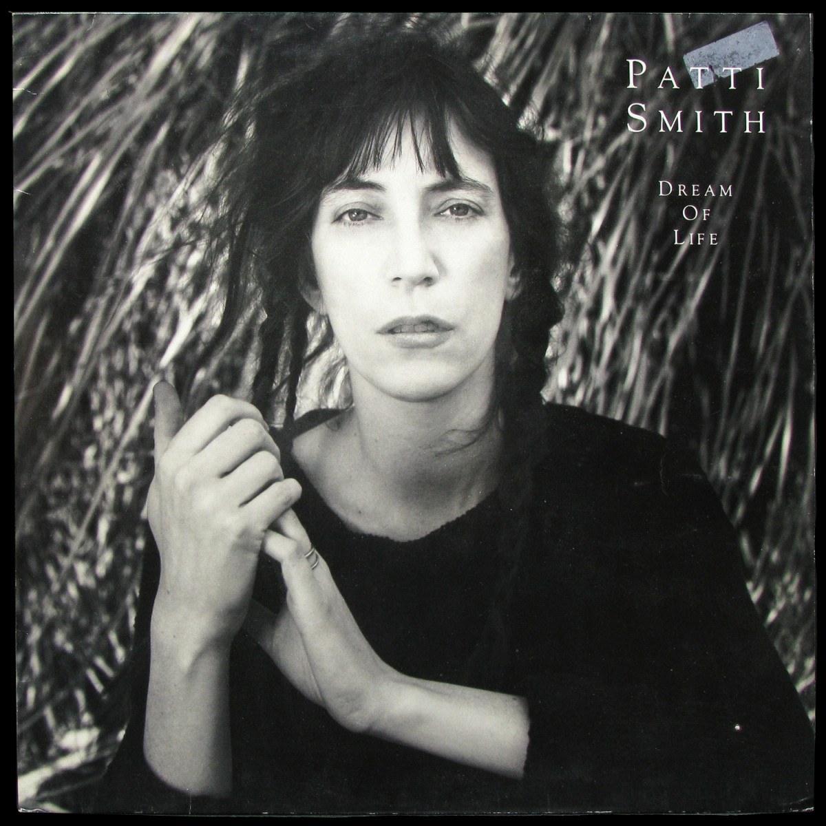 LP Patti Smith — Dream Of Life фото