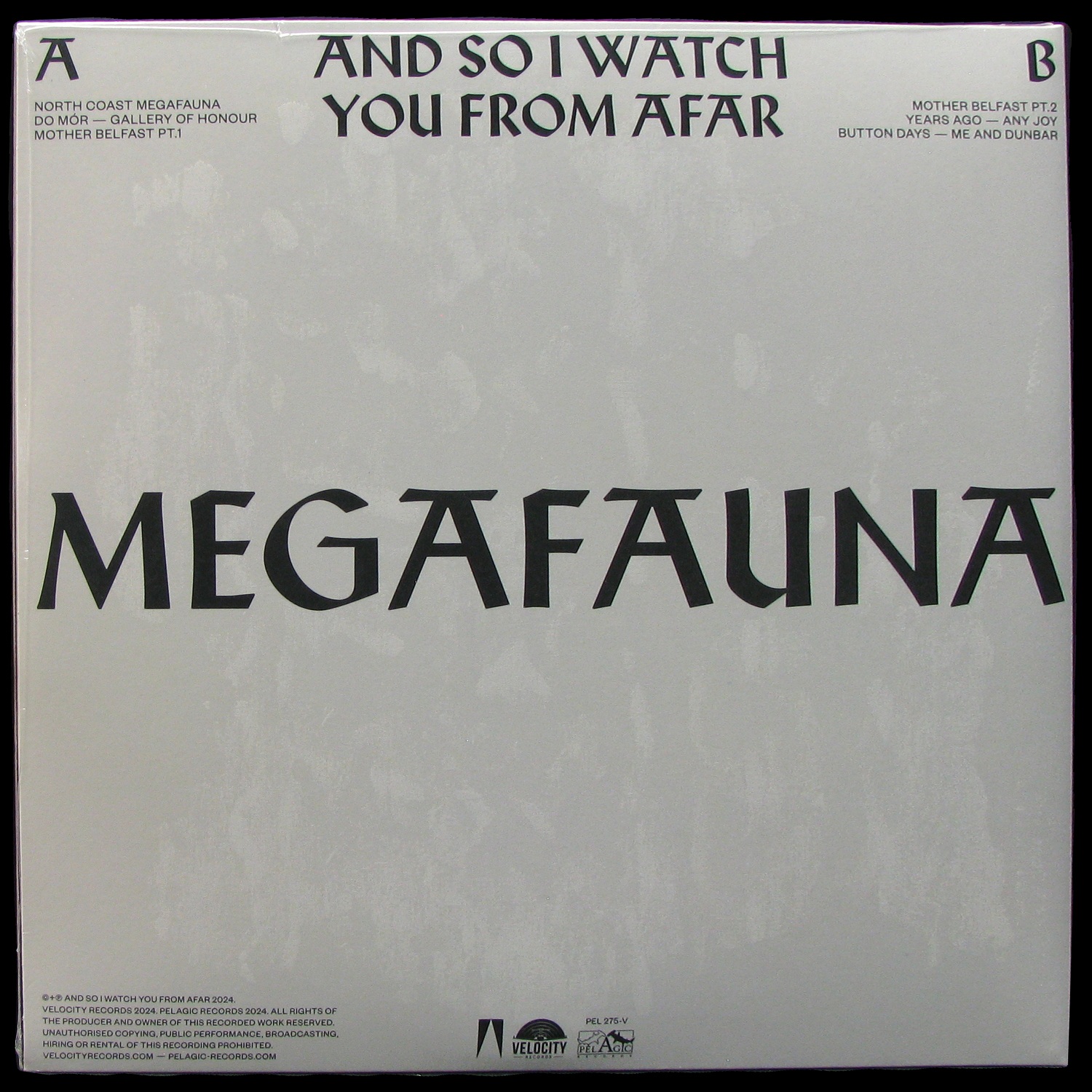 LP And So I Watch You From Afar — Megafauna фото 2