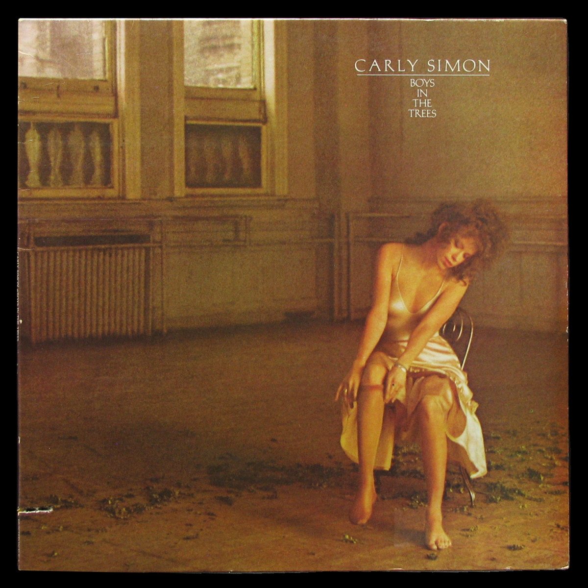 LP Carly Simon — Boys In The Trees фото