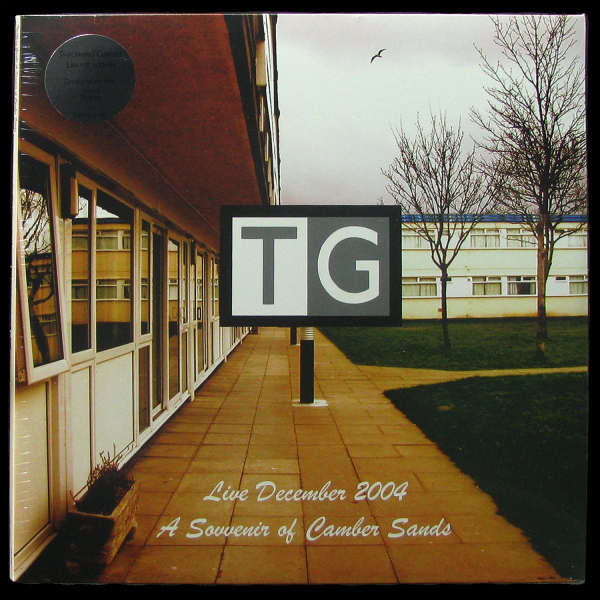 LP Throbbing Gristle — Live December 2004 (A Souvenir Of Camber Sands) (2LP,  coloured vinyl,  + poster) фото