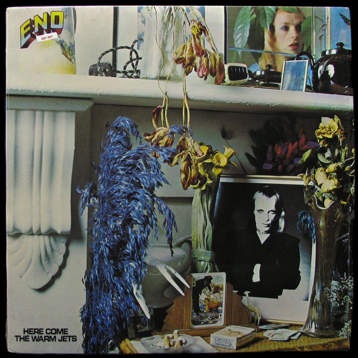 LP Brian Eno — Here Come The Warm Jets фото