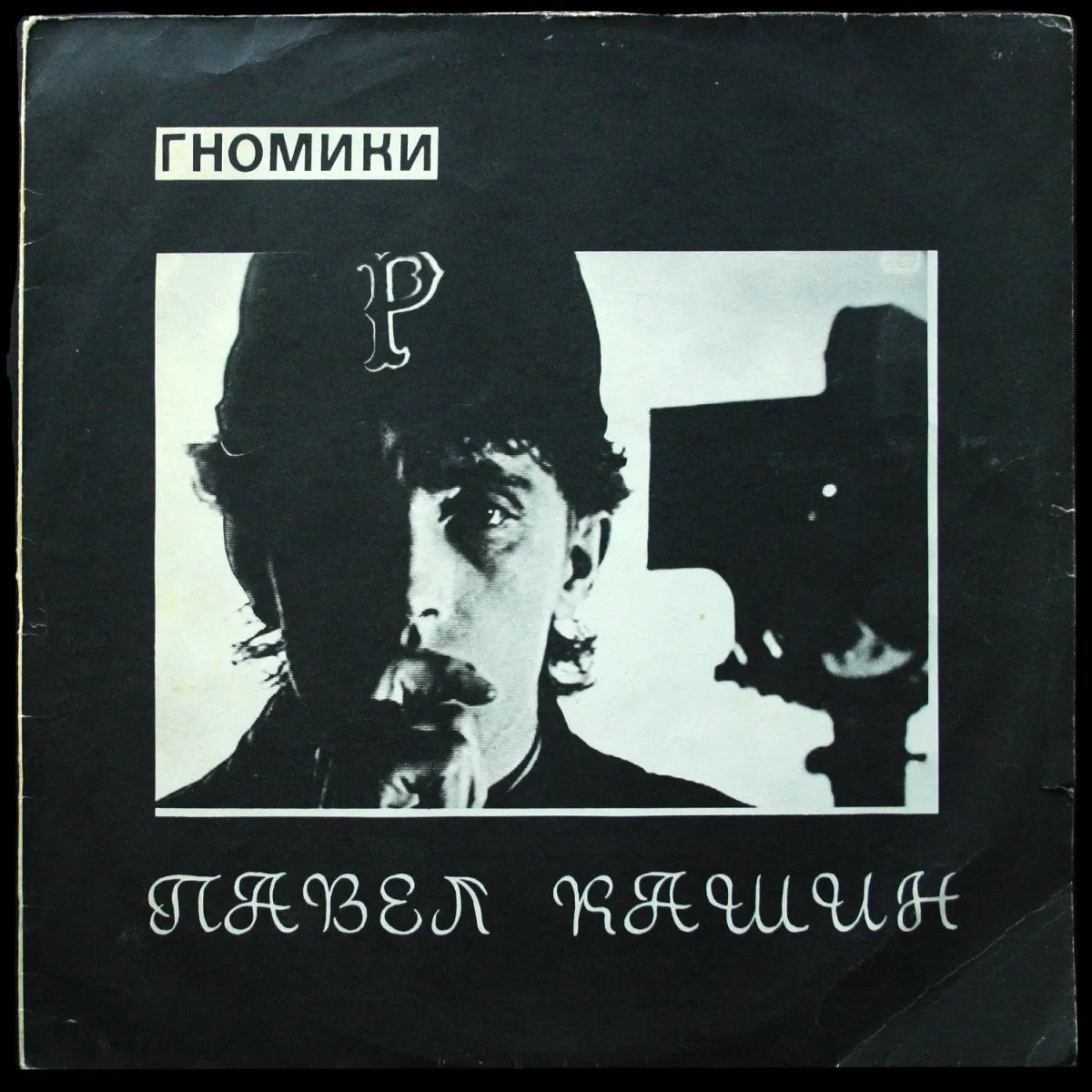 LP Павел Кашин — Гномики фото
