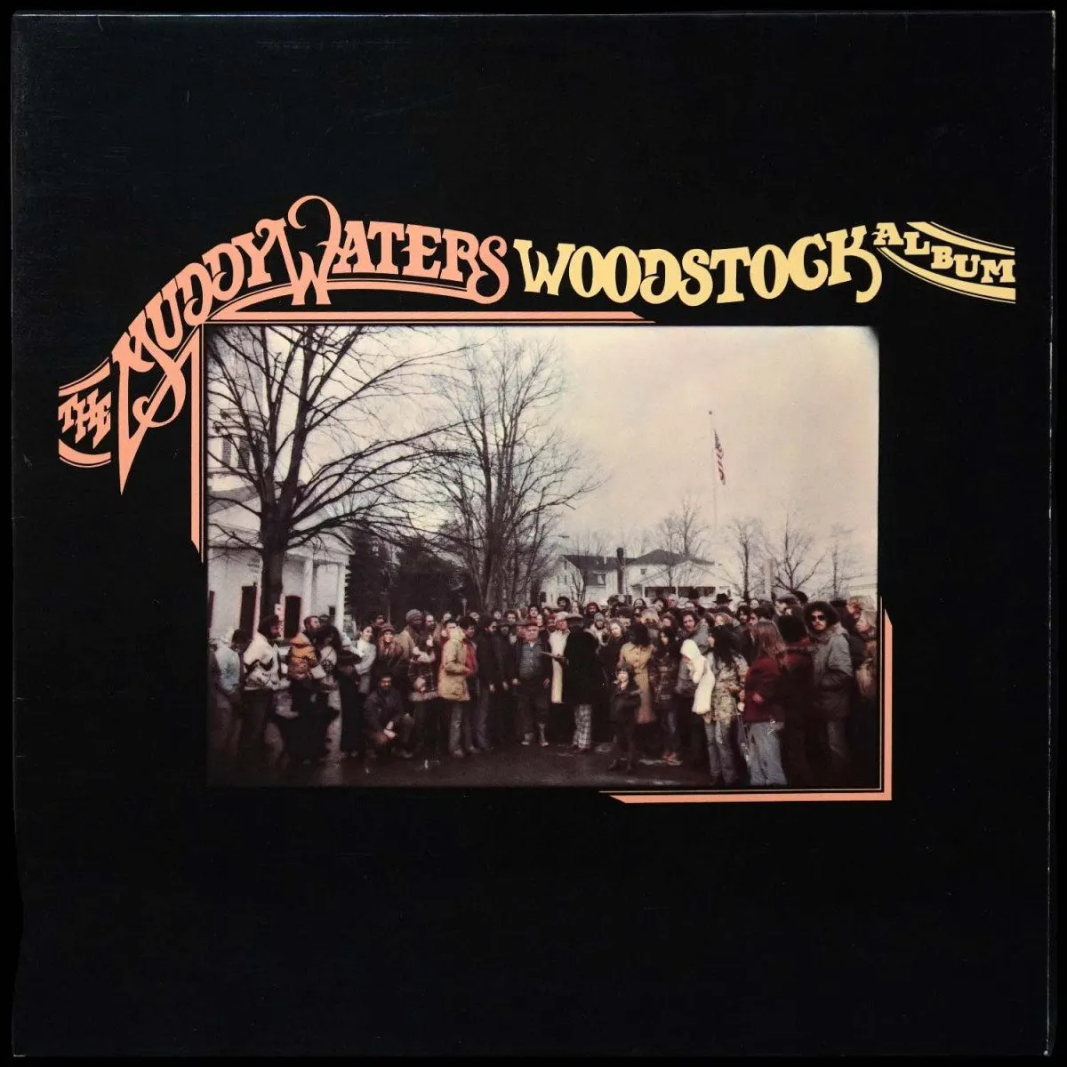 LP Muddy Waters — Woodstock Album фото