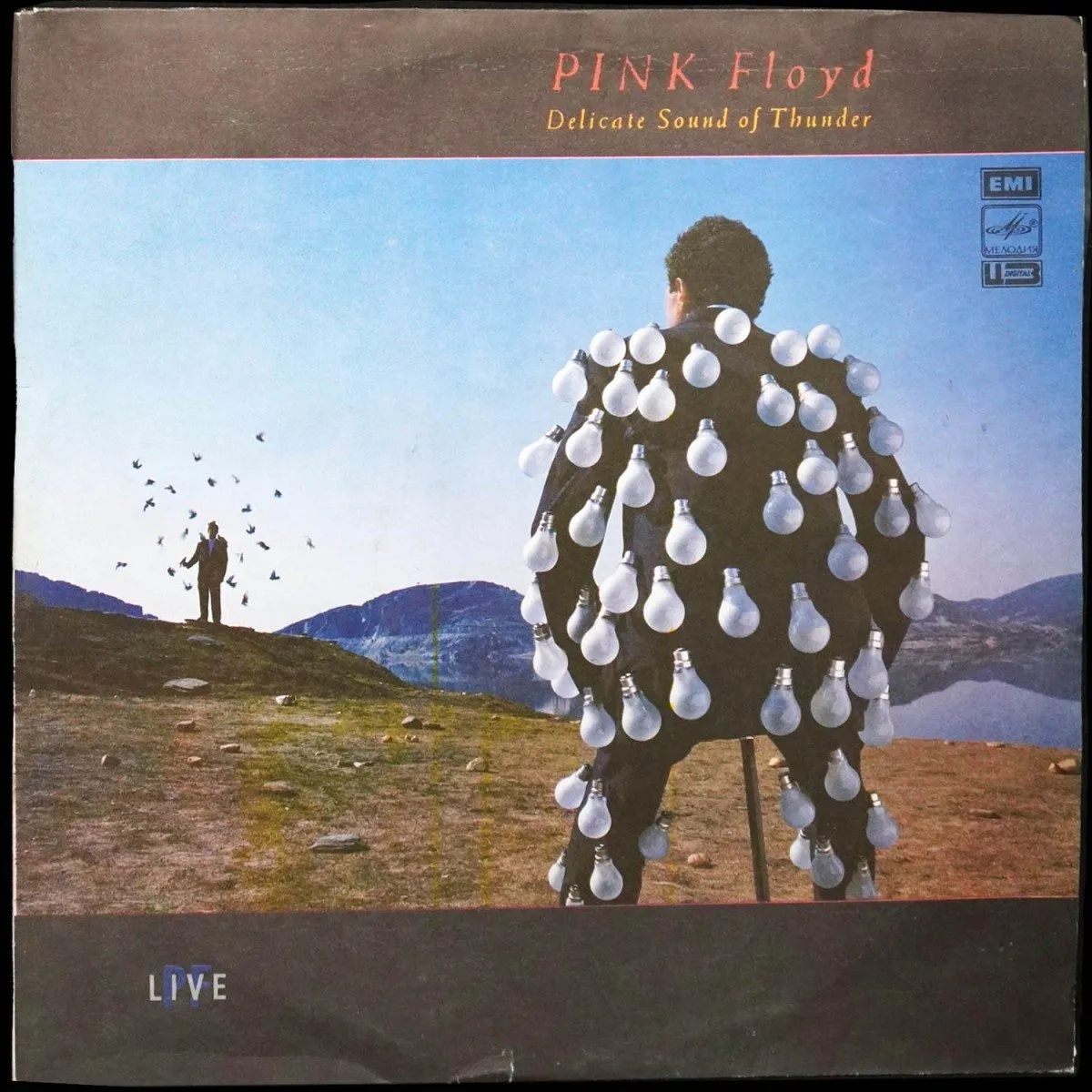 LP Pink Floyd — Delicate Sound Of Thunder (2LP) фото