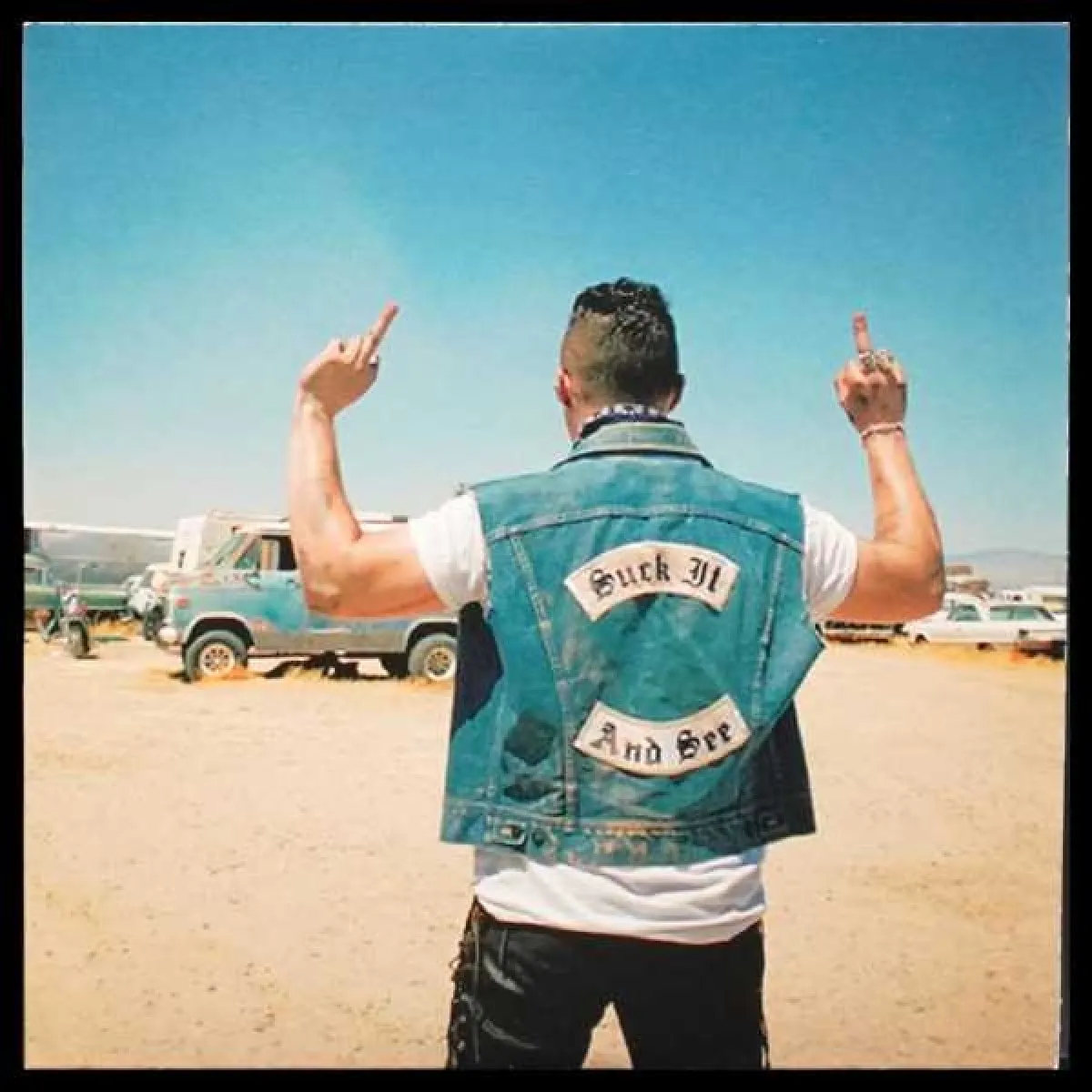 LP Arctic Monkeys — Suck It And See (сингл) фото