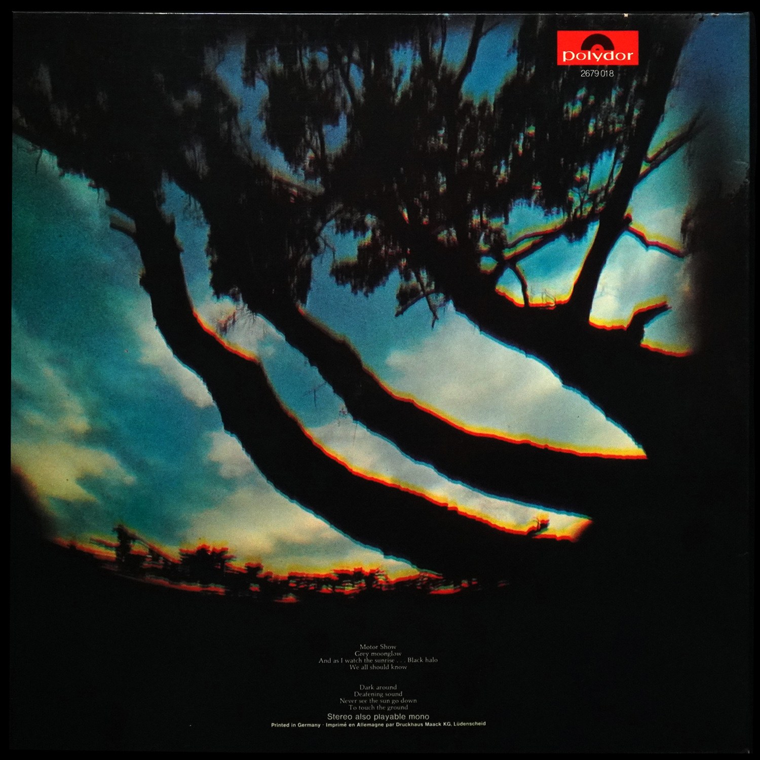 LP Rare Bird — Epic Forest фото 2