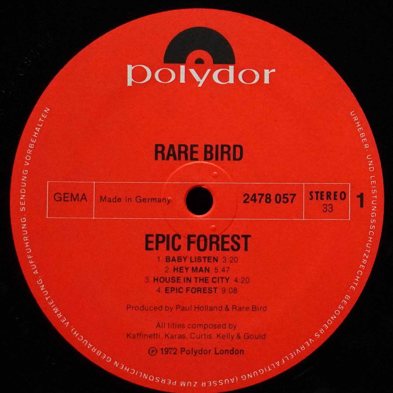 LP Rare Bird — Epic Forest фото 3