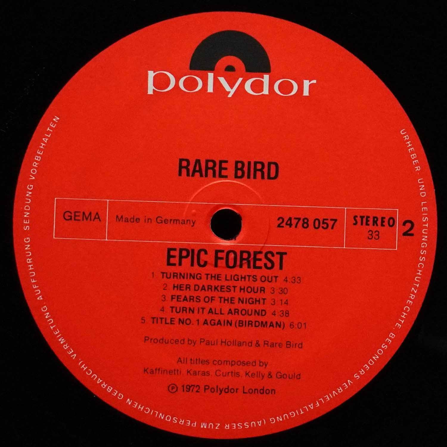 LP Rare Bird — Epic Forest фото 4