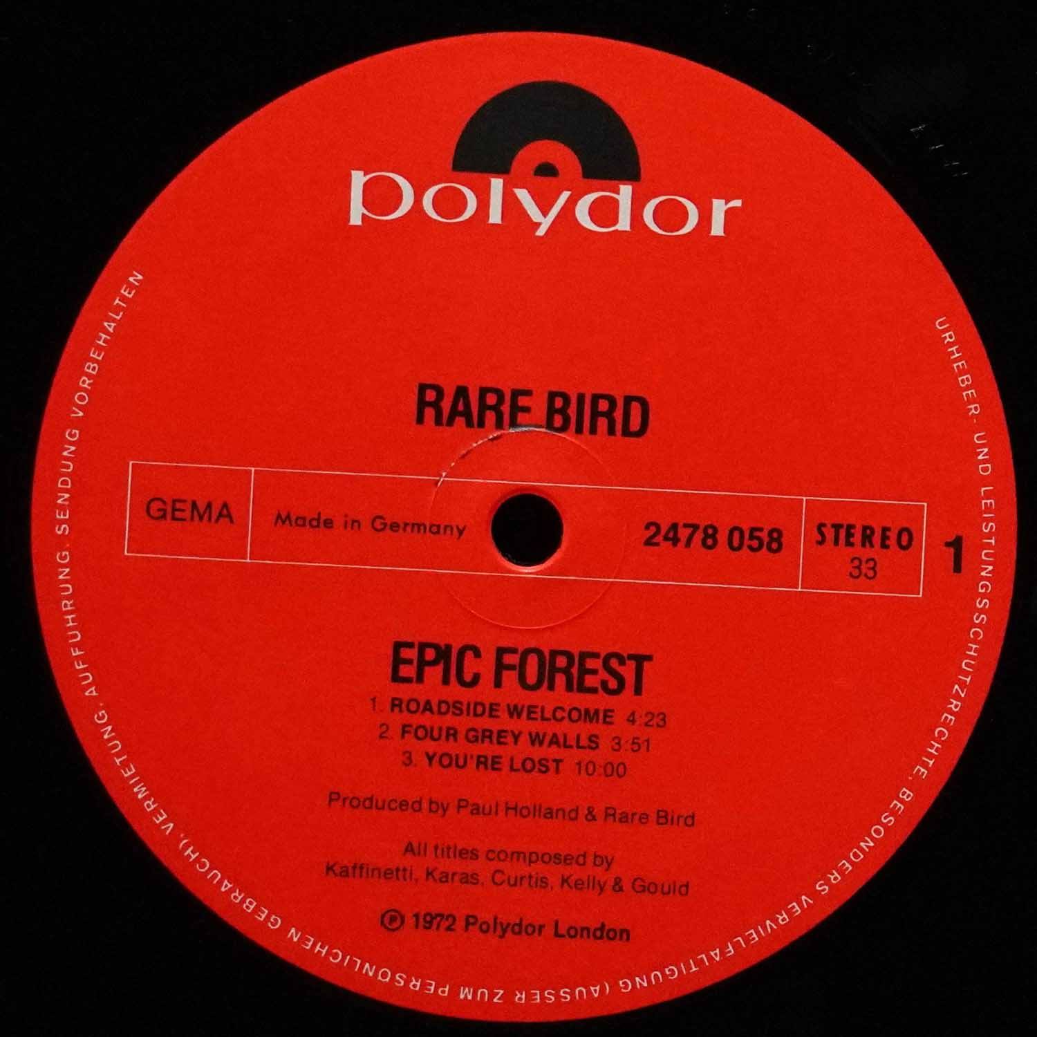 LP Rare Bird — Epic Forest фото 5