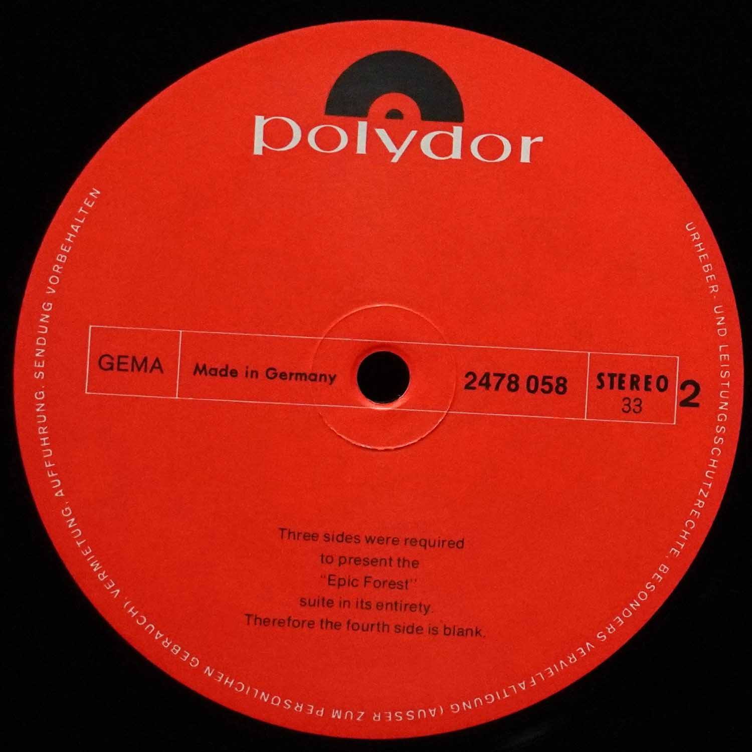LP Rare Bird — Epic Forest фото 6