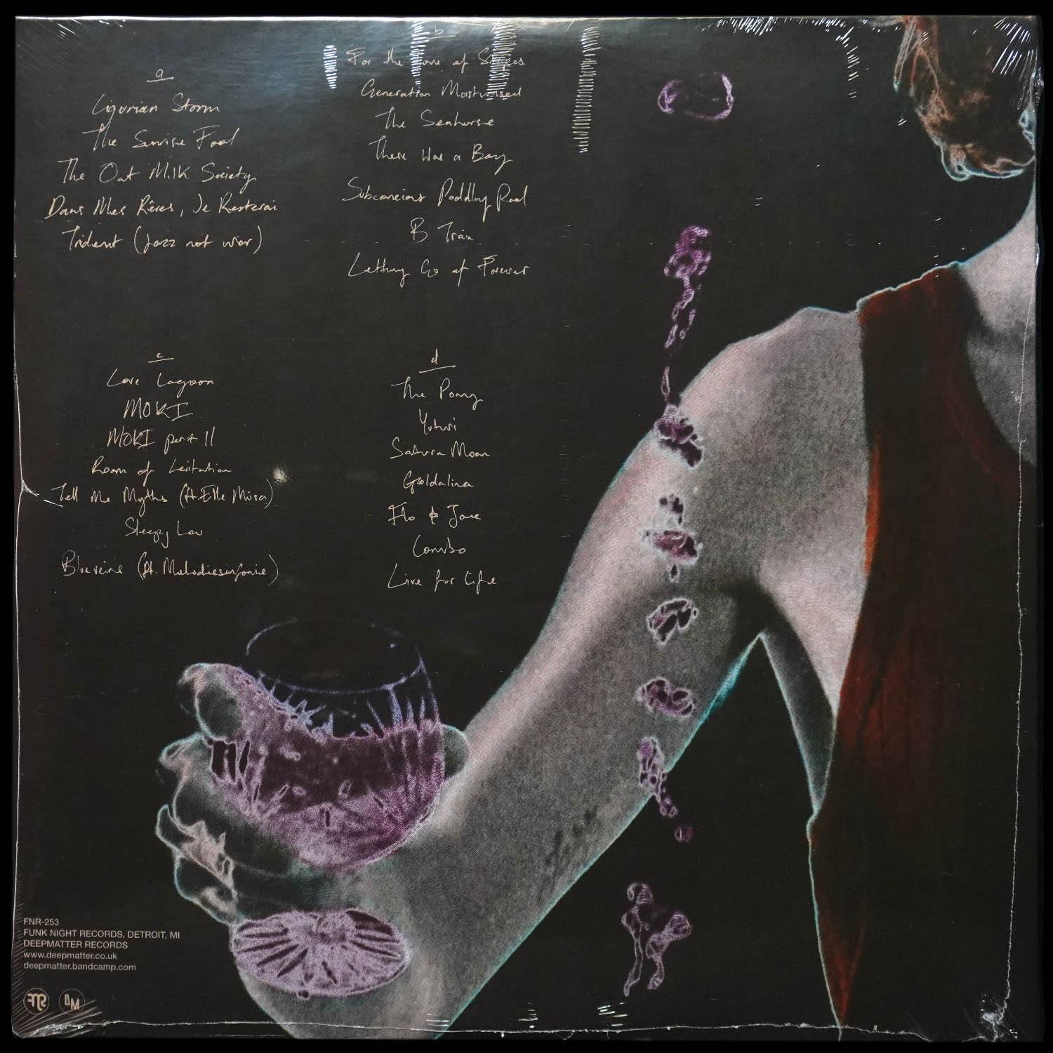LP Sholto — Letting Go Of Forever (2LP) фото 2