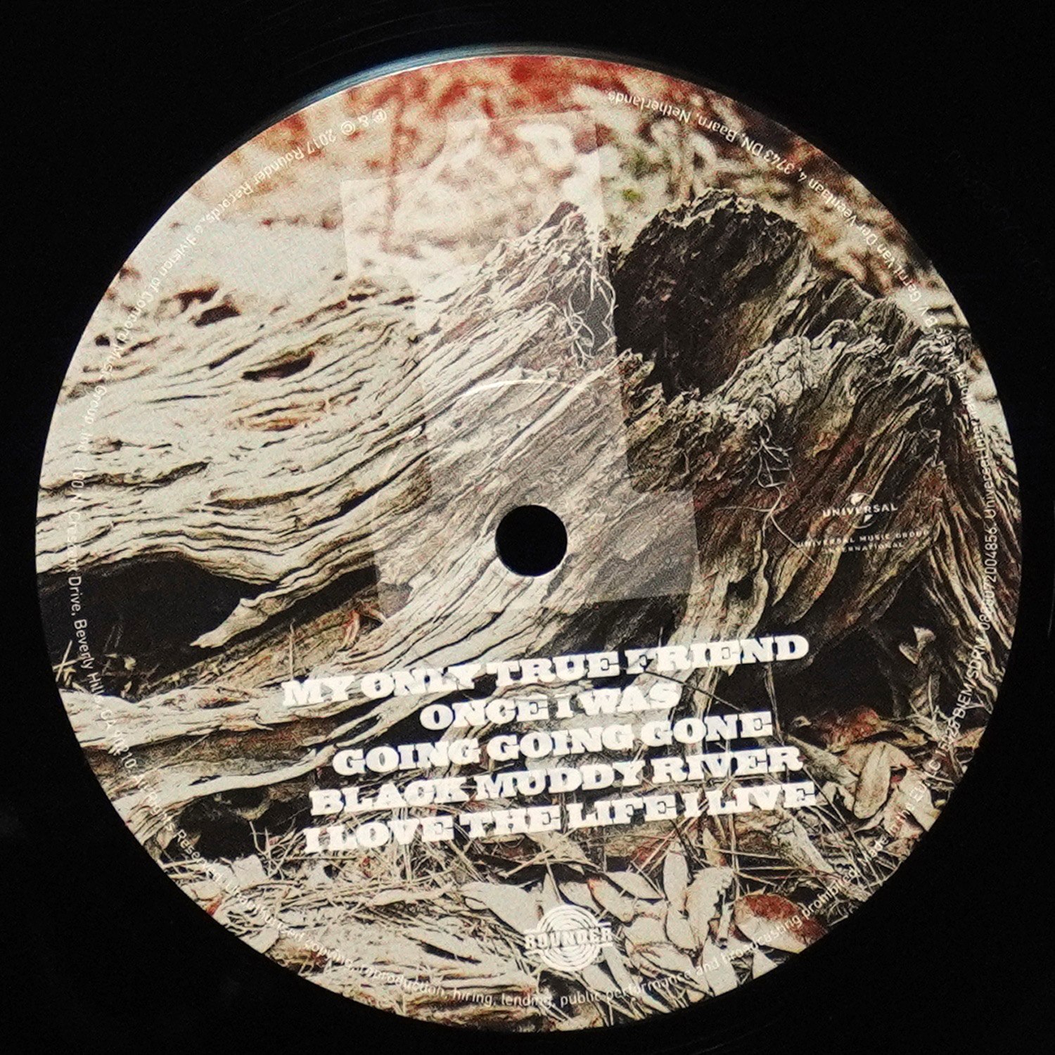 LP Gregg Allman — Southern Blood фото 3