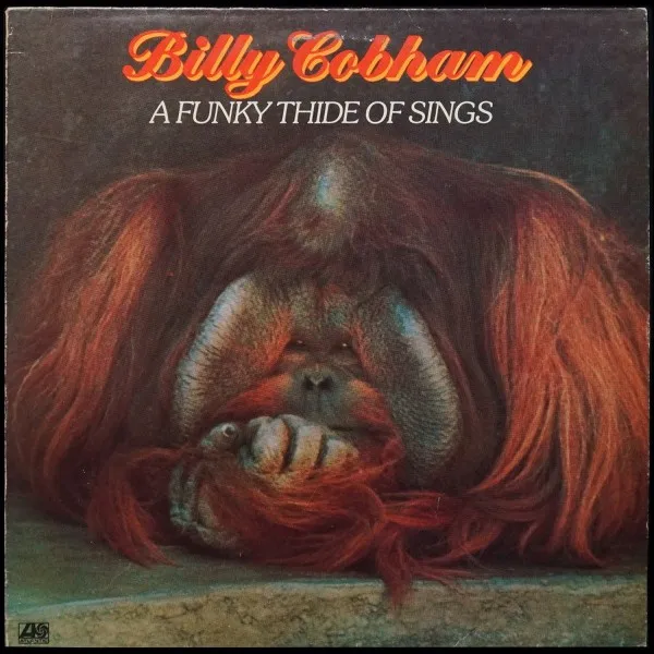 A Funky Thide Of Sings