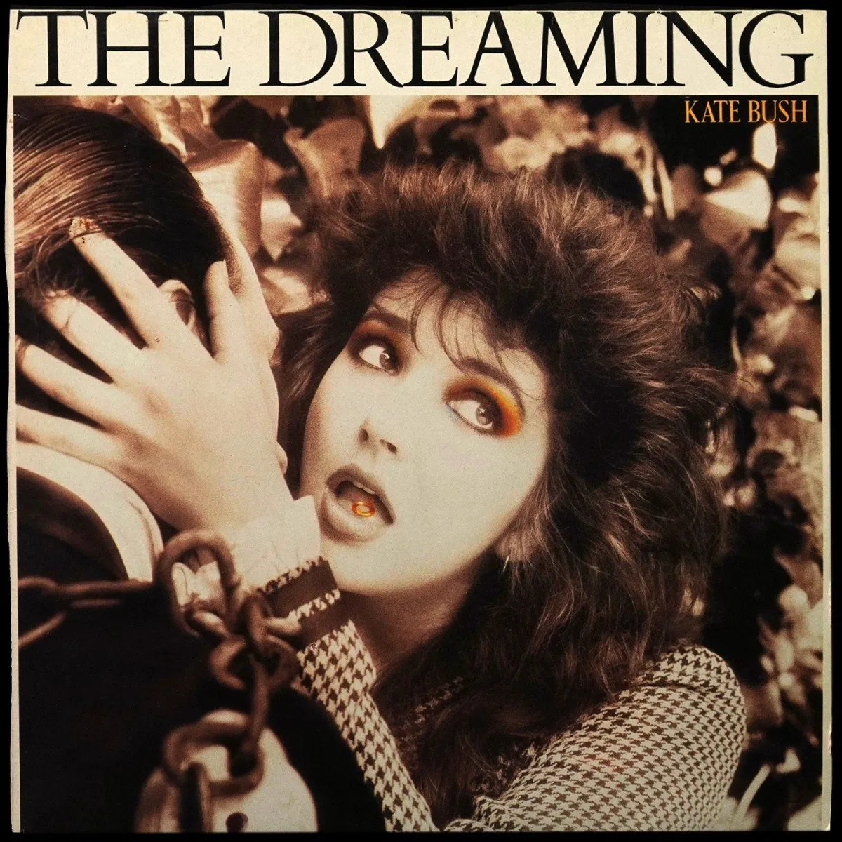 LP Kate Bush — Dreaming фото