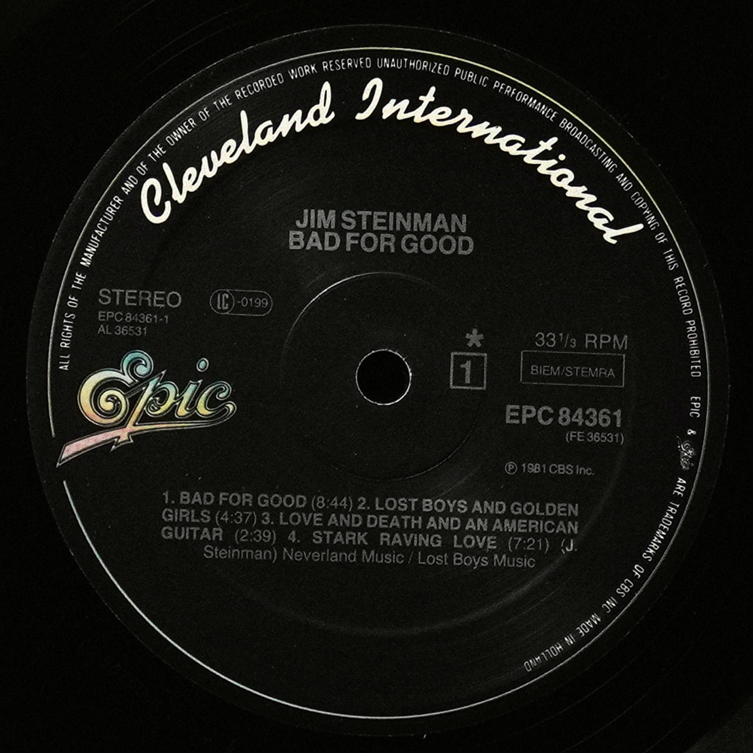 LP Jim Steinman — Bad For Good (+ 7 EP(мини-альбом)) фото 3