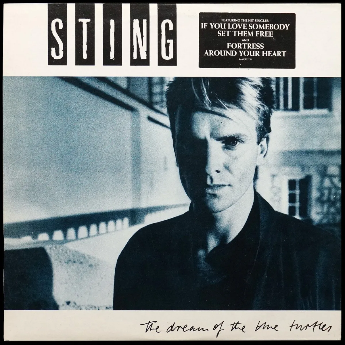 LP Sting — Dream Of The Blue Turtles фото
