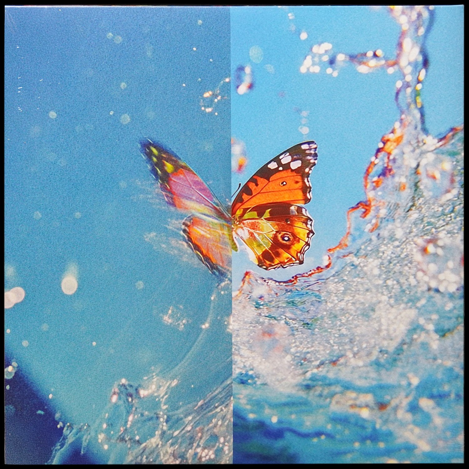 LP Daphni — Butterfly (2LP) фото 2