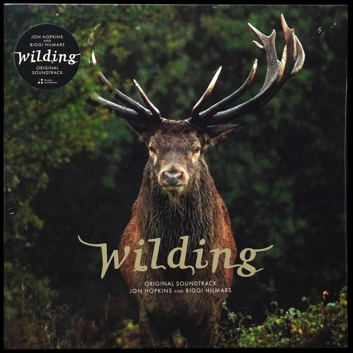 LP Jon Hopkins — Wilding фото