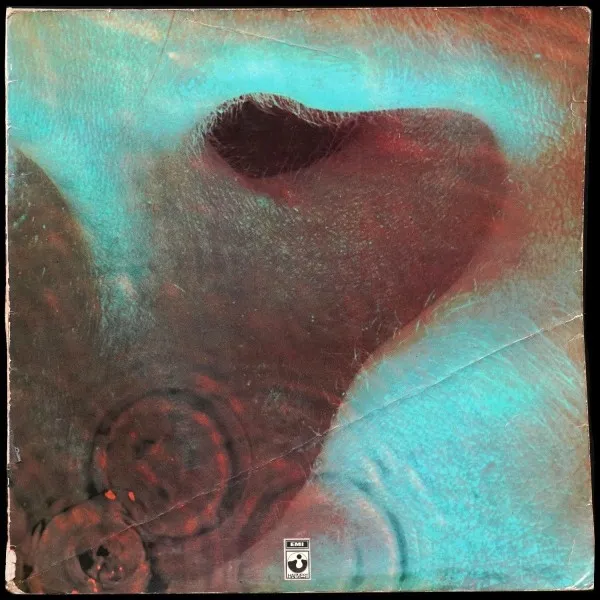 Meddle
