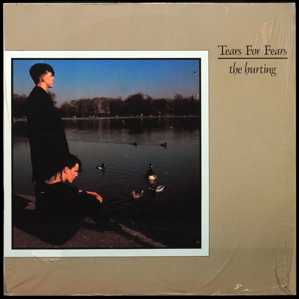LP Tears For Fears — Hurting фото