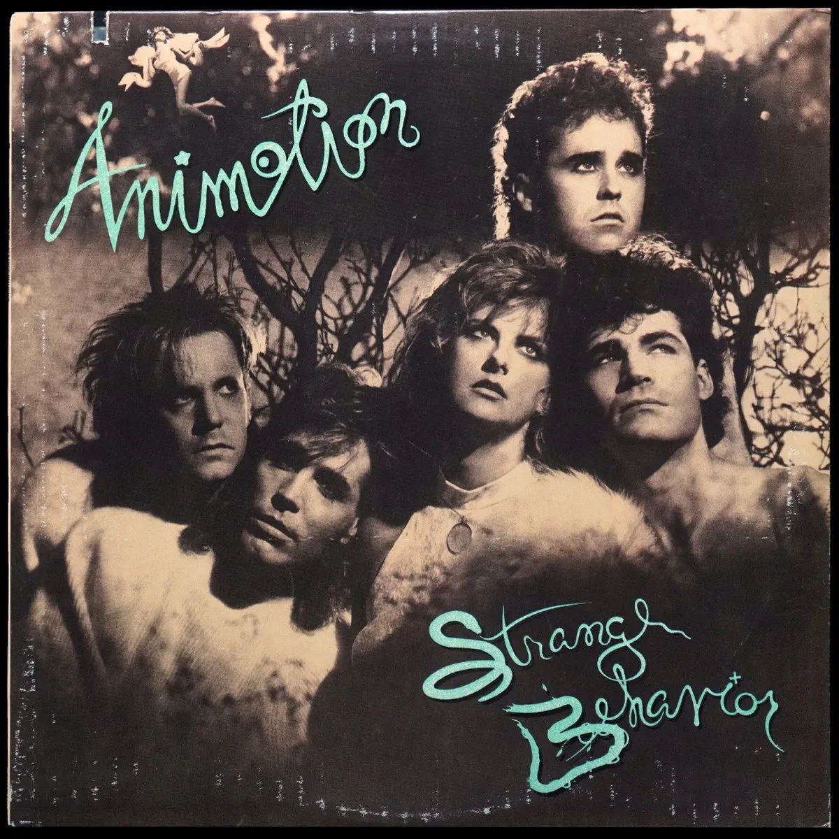 LP Animotion — Strange Behavior фото