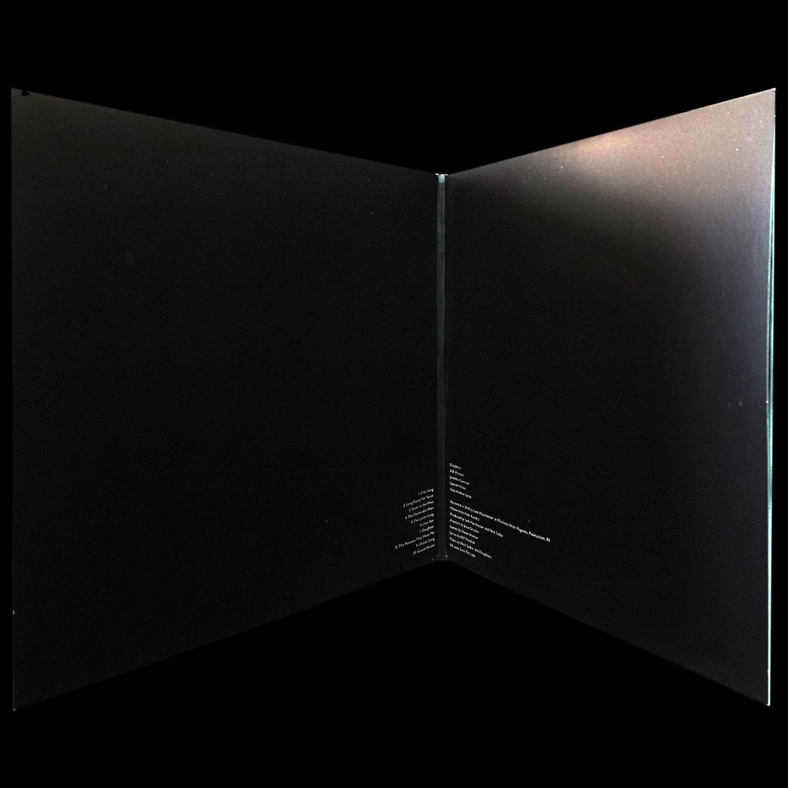 LP Daughters — You Won't Get What You Want (2LP, цветной винил) фото 3