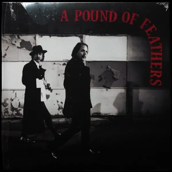 A Pound Of Feathers