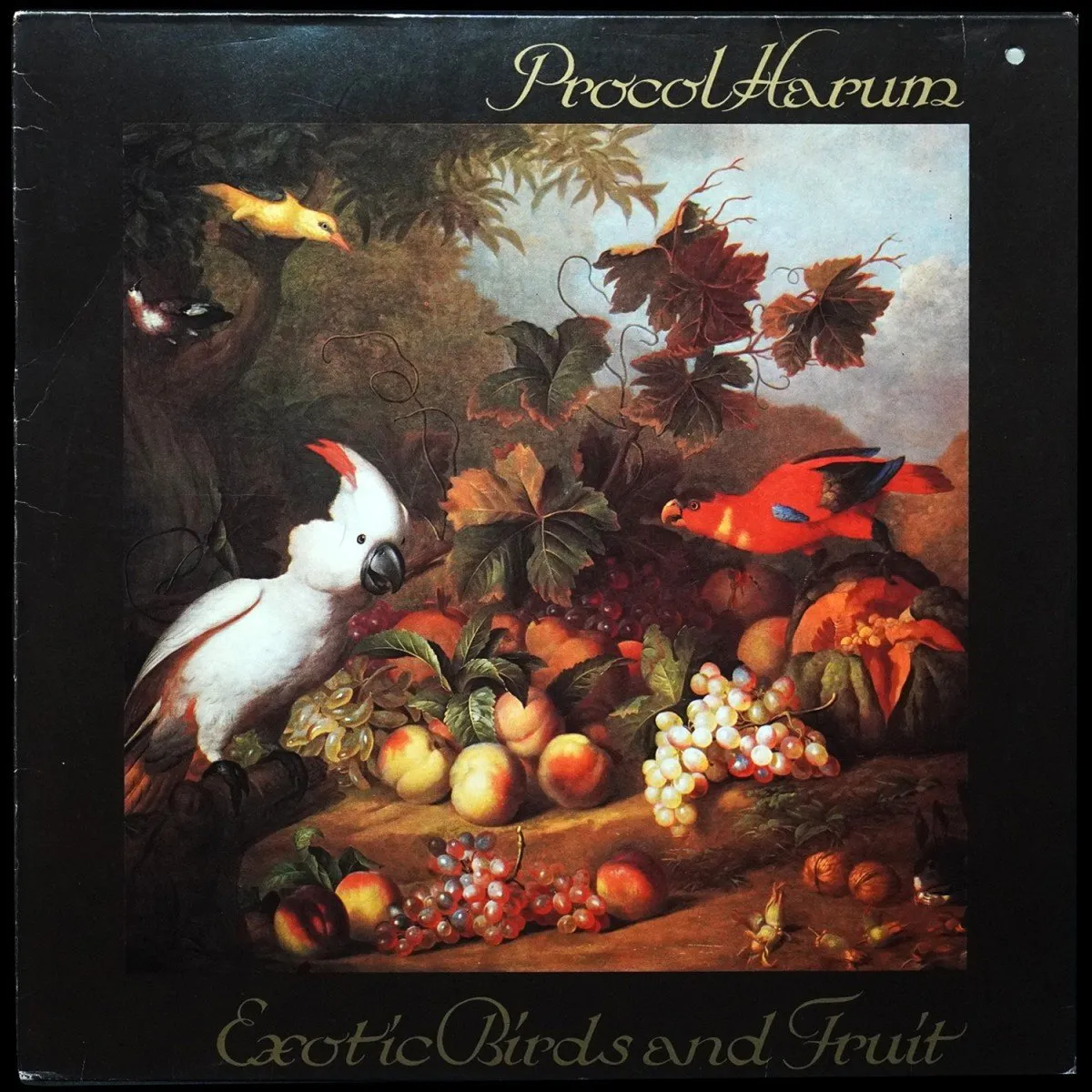 LP Procol Harum — Exotic Birds And Fruit фото