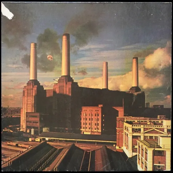 Animals