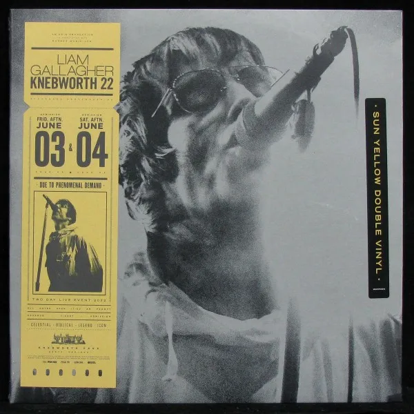 Knebworth 22