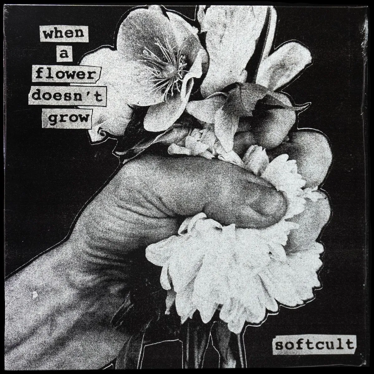 LP Softcult — When A Flower Doesn't Grow (цветной винил) фото