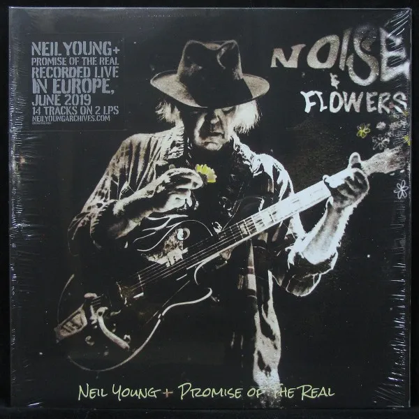Noise & Flowers