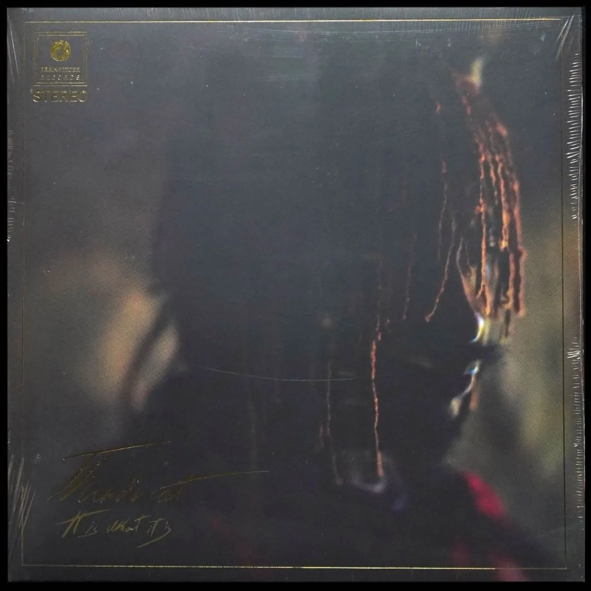 LP Thundercat — It Is What It Is (цветной винил) фото