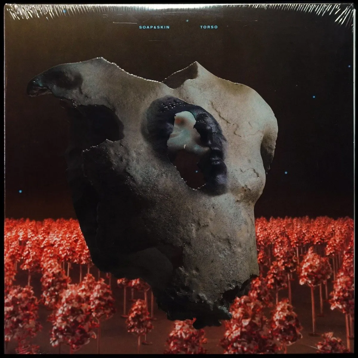 LP Soap&Skin — Torso (2LP) фото