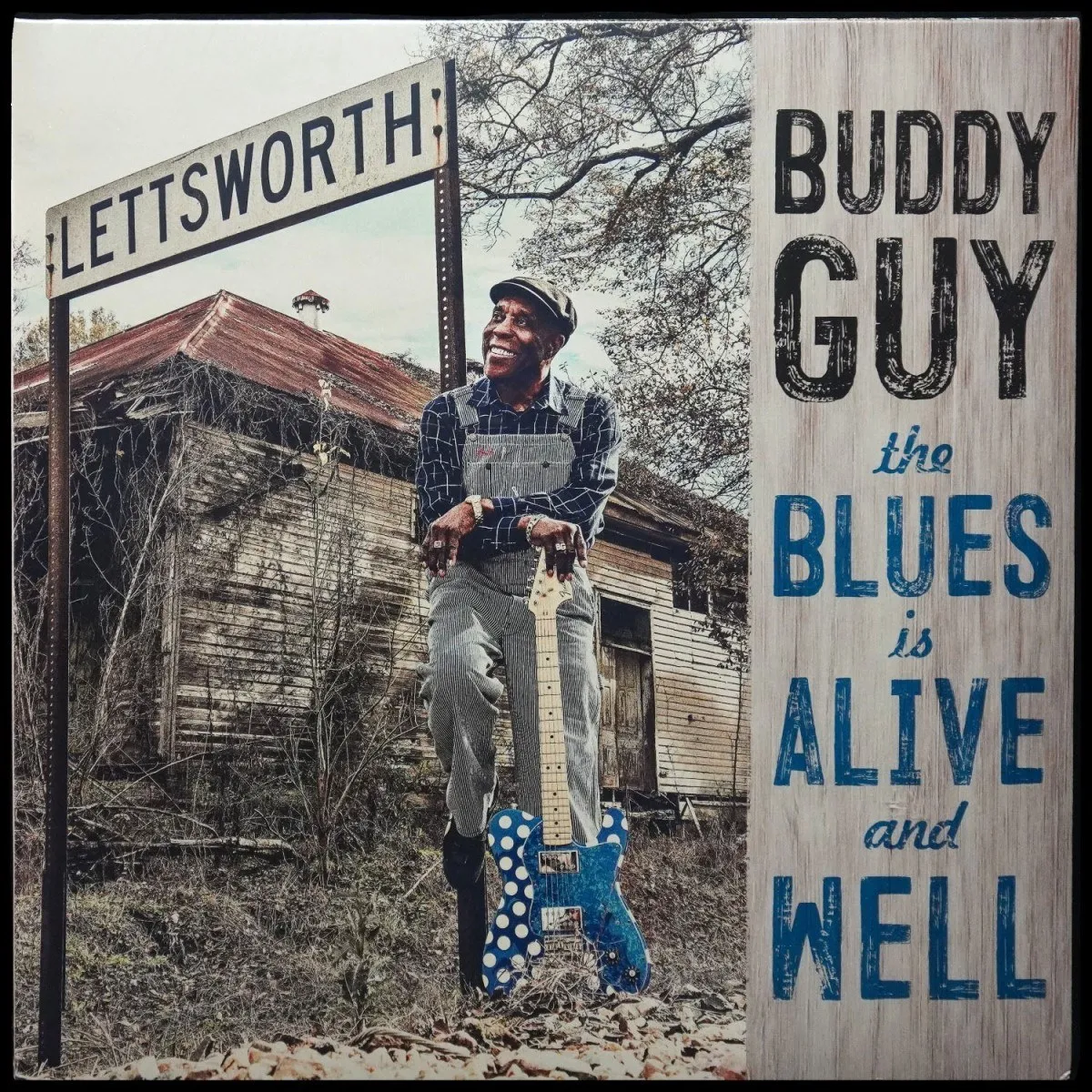 LP Buddy Guy — Blues Is Alive And Well (2LP) фото