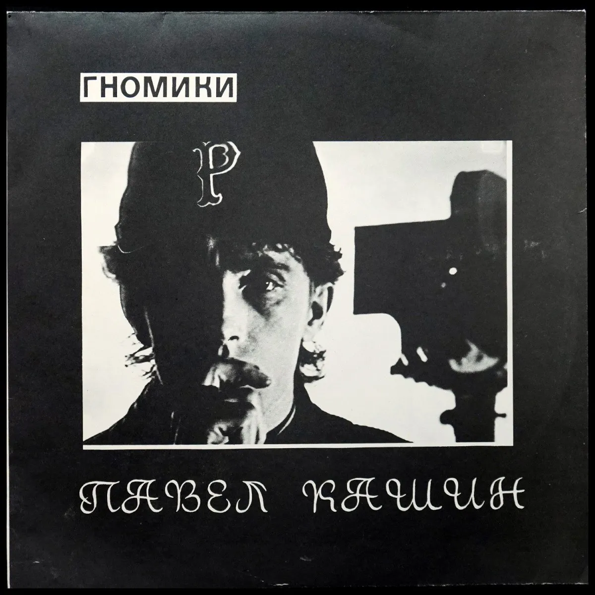 LP Павел Кашин — Гномики фото