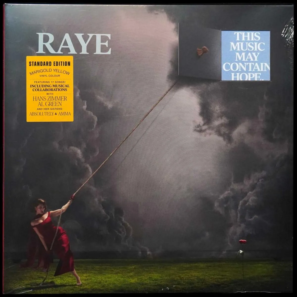 LP Raye — This Music May Contain Hope. (2LP,  желтый винил) фото