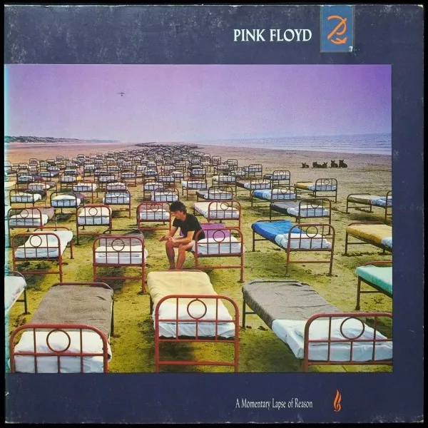 A Momentary Lapse Of Reason