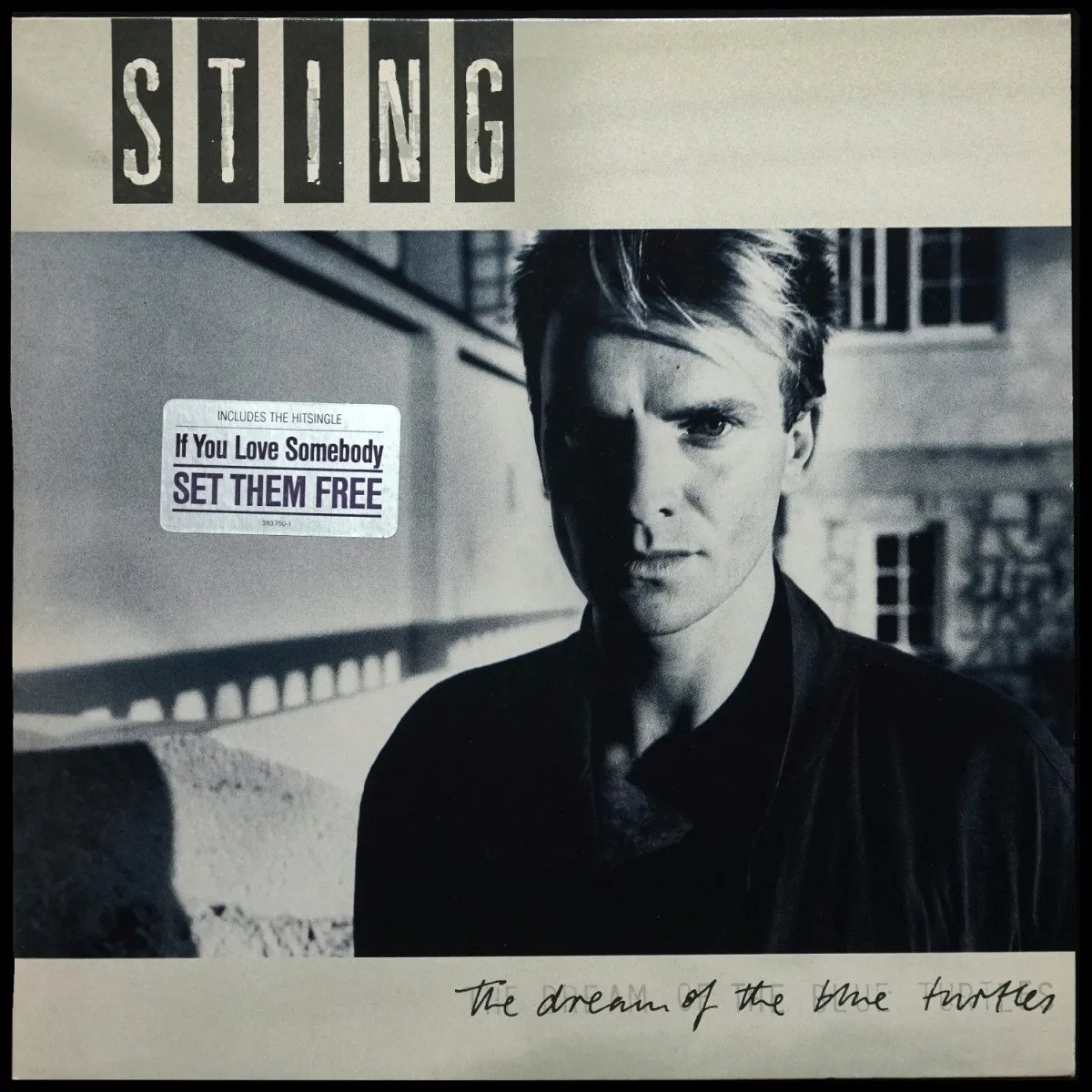 LP Sting — Dream Of The Blue Turtles фото